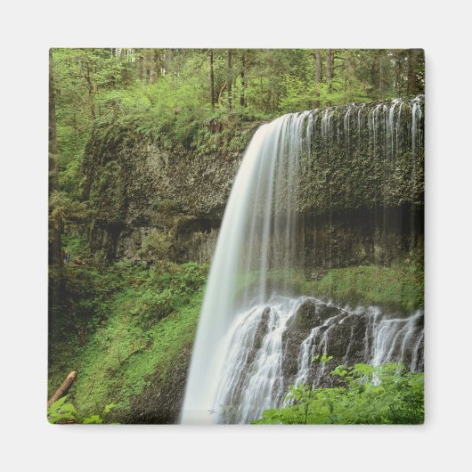 USA, Oregon, Silver Falls Staat Park. unten Magnet (Vorne)
