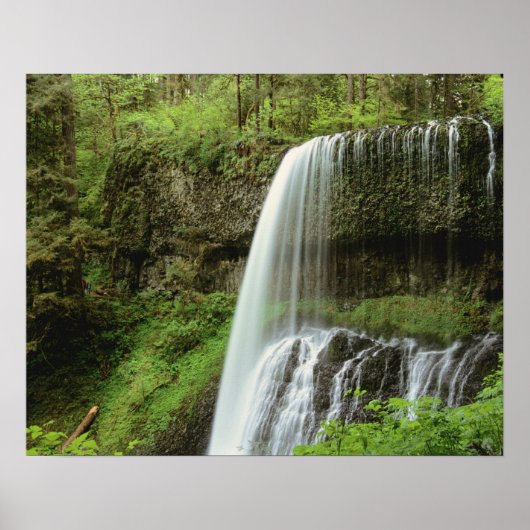 USA, Oregon, Silver Falls Staat Park. unten Poster (Vorne)