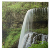 USA, Oregon, Silver Falls Staat Park. Untergrund Fliese (Vorderseite)