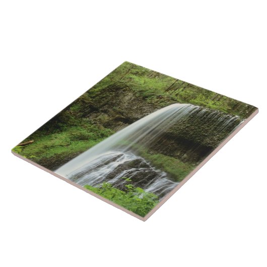 USA, Oregon, Silver Falls Staat Park. Untergrund Fliese (Seite)