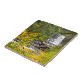 USA, Oregon, Silver Falls State Park 2 Fliese (Seite)