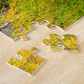 USA, Oregon, Silver Falls State Park 2 Puzzle (Seite)