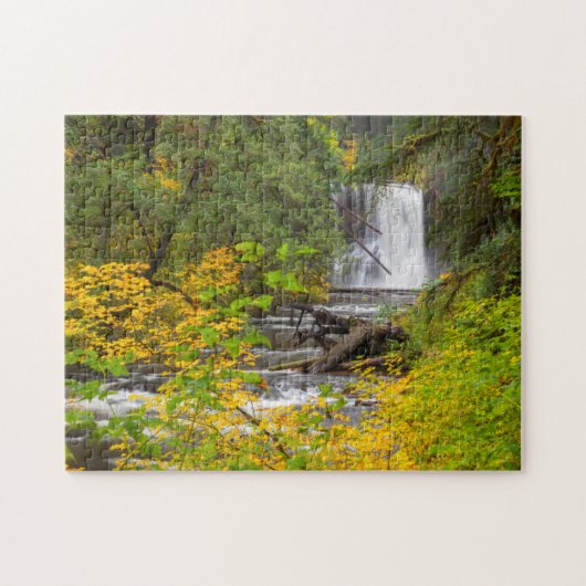USA, Oregon, Silver Falls State Park 2 Puzzle (Horizontal)