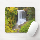 USA, Oregon, Silver Falls State Park 3 Mousepad (Mit Mouse)