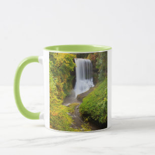 USA, Oregon, Silver Falls State Park 3 Tasse