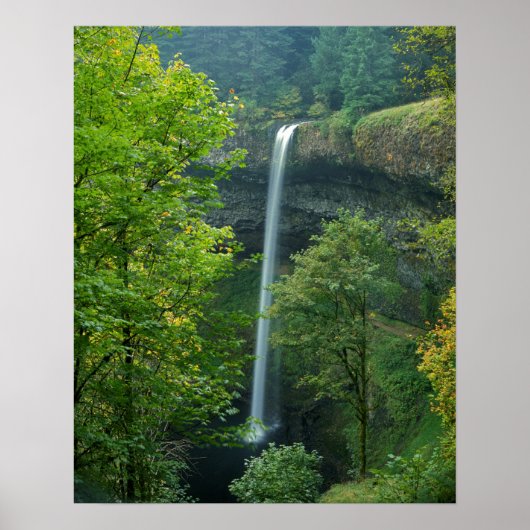 USA, Oregon, Silver Falls State Park Poster (Vorne)