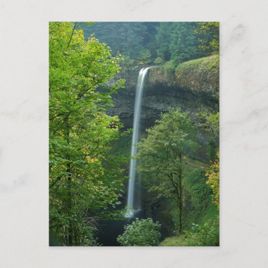 USA, Oregon, Silver Falls State Park Postkarte (Vorderseite)