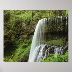 USA, Oregon, Silver Falls State Park. Untere Poster