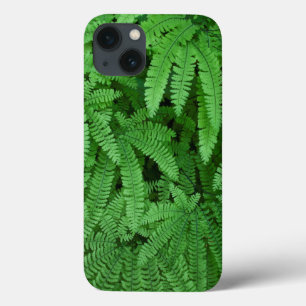 USA, Oregon, Silverton. Frauenhaarfarn Case-Mate iPhone Hülle