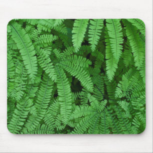 USA, Oregon, Silverton. Frauenhaarfarn Mousepad