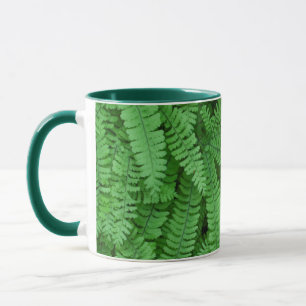 USA, Oregon, Silverton. Maidenhair Tasse