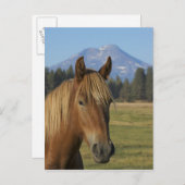 USA, Oregon, Sisters, View Three Sisters, Postkarte (Vorne/Hinten)