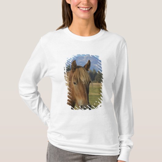 USA, Oregon, Sisters, View Three Sisters, T-Shirt (Vorderseite)