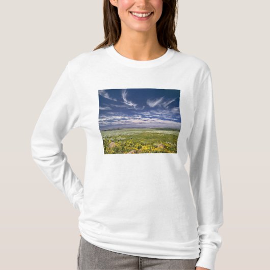 USA, Oregon, Steens Mountain. Frühjahrsbrüche T-Shirt (Vorderseite)