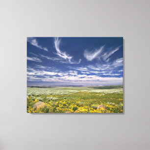 USA, Oregon, Steens Mountain. Frühjahrsexplosionen Leinwanddruck