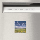 USA, Oregon, Steens Mountain. Frühjahrsexplosionen Magnet (In Situ (Geschirrspüler))