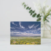 USA, Oregon, Steens Mountain. Frühjahrsexplosionen Postkarte (Stehend Vorderseite)