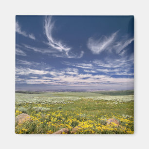 USA, Oregon, Steens Mountain. Frühling sprießt Magnet