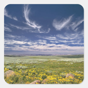 USA, Oregon, Steens Mountain. Frühling sprießt Quadratischer Aufkleber