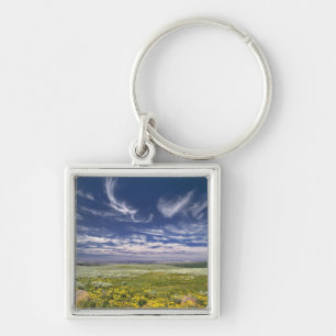 USA, Oregon, Steens Mountain. Frühling sprießt Schlüsselanhänger