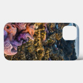 USA, Oregon Sterne von Seestern Case-Mate iPhone Hülle (Rückseite (Horizontal))
