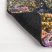 USA, Oregon Sterne von Seestern Mousepad (Ecke)