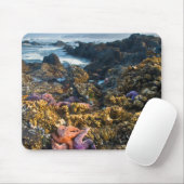 USA, Oregon Sterne von Seestern Mousepad (Mit Mouse)
