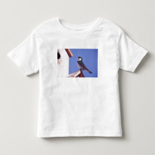 USA, Oregon. Sumpfschwalbe Tachycineta Kleinkind T-shirt