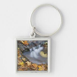 USA, Oregon, Sweet Creek. Blätter von gefallenen A Schlüsselanhänger