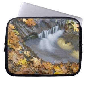 USA, Oregon, Sweet Creek. Gefallene Ahornblätter Laptopschutzhülle