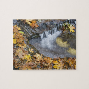 USA, Oregon, Sweet Creek. Gefallene Ahornblätter Puzzle