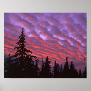 USA, Oregon, Three Sisters Wilderness, Lebendig Poster