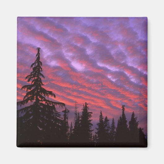 USA, Oregon, Three Sisters Wilderness, Vivid Magnet (Vorne)