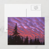 USA, Oregon, Three Sisters Wilderness, Vivid Postkarte (Vorne/Hinten)