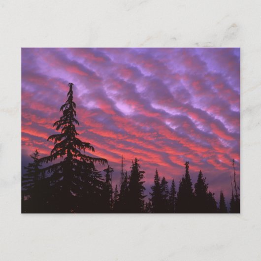 USA, Oregon, Three Sisters Wilderness, Vivid Postkarte (Vorderseite)