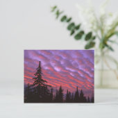 USA, Oregon, Three Sisters Wilderness, Vivid Postkarte (Stehend Vorderseite)
