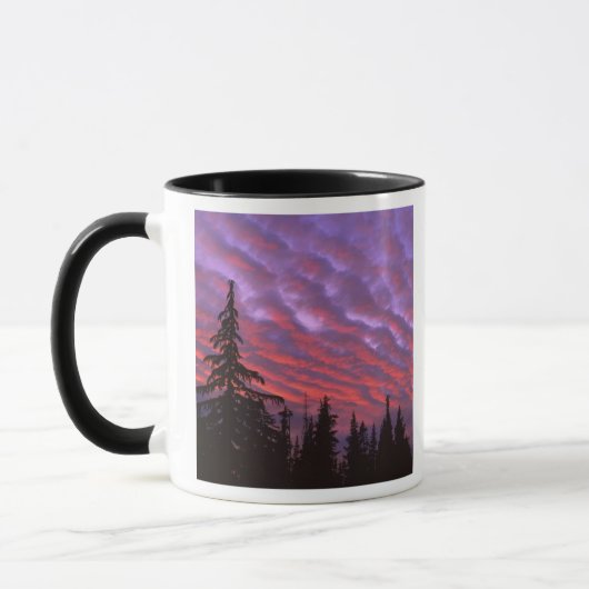 USA, Oregon, Three Sisters Wilderness, Vivid Tasse (Links)