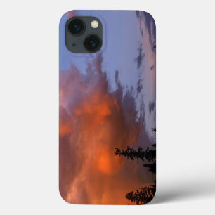 USA, Oregon, Umpqua National Forest. Sturm 2 Case-Mate iPhone Hülle