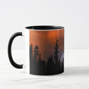 USA, Oregon, Umpqua National Forest. Sturm 2 Tasse