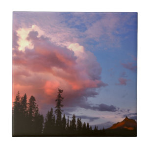 USA, Oregon, Umpqua National Forest. Sturm Fliese