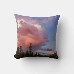 USA, Oregon, Umpqua National Forest. Sturm Kissen