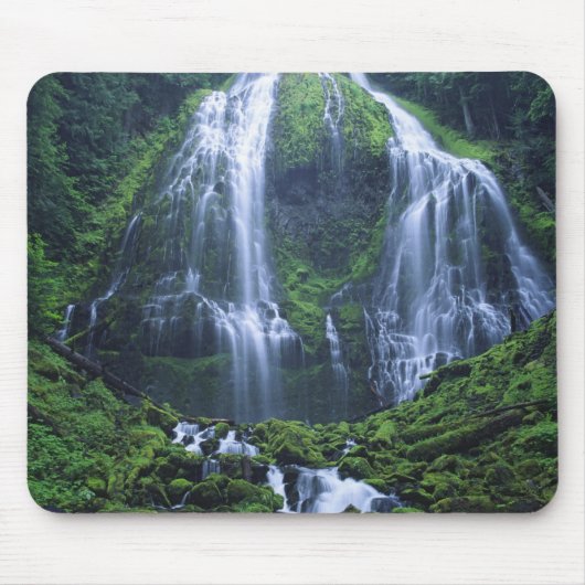 USA, Oregon, Willamette National Forest. Ansicht Mousepad (Vorne)