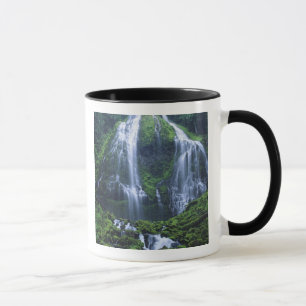 USA, Oregon, Willamette National Forest. Ansicht Tasse