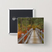 USA, Oregon, Willamette National Forest. Button (Vorne & Hinten)