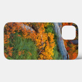 USA, Oregon, Willamette National Forest Case-Mate iPhone Hülle (Rückseite (Horizontal))
