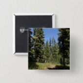 USA, Oregon, Willamette National Forest, Fall Button (Vorne & Hinten)