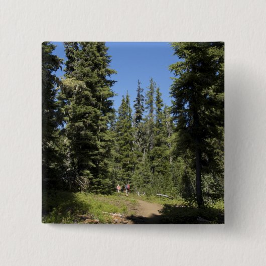 USA, Oregon, Willamette National Forest, Fall Button (Vorderseite)