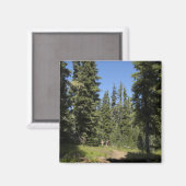 USA, Oregon, Willamette National Forest, Fall Magnet (Vorderseite/Rückseite)