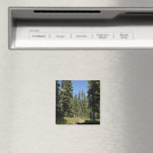 USA, Oregon, Willamette National Forest, Fall Magnet (In Situ (Geschirrspüler))
