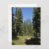 USA, Oregon, Willamette National Forest, Fall Postkarte (Vorne/Hinten)